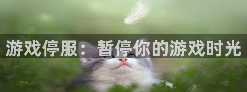 j9·九游会游戏中国官方网站